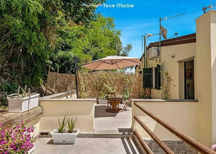 Reborn House, Terremarine